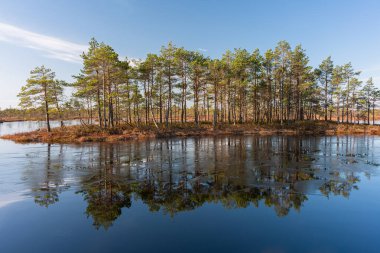 Göl manzarası ve sudaki ağaçların yansıması.