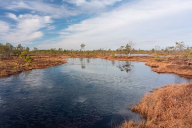 Göl manzarası ve sudaki ağaçların yansıması.