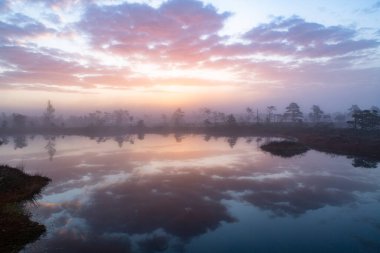 Bataklık gölünde sabah
