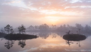 Bataklık gölünde sabah
