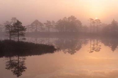 Bataklık gölünde sabah