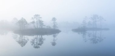Bataklık gölünde sabah