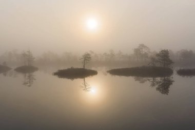 Bataklık gölünde sabah
