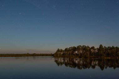 Gece bataklık gölü Yıldızlı gökyüzü ve sisli