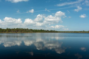 Harika güneşli bir bahar sabahı Mavi gökyüzü ve bataklık gölünde hafif buz