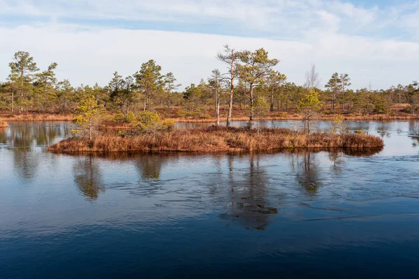 Vackert Landskap Med Sjö Och Spegling Träd Vatten — Stockfoto