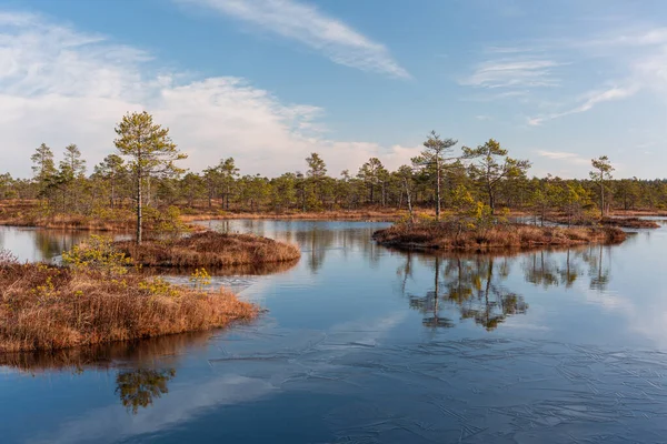 Vackert Landskap Med Älv Och Skog — Stockfoto