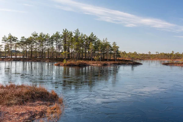 Vackert Landskap Med Sjö Och Spegling Träd Vatten — Stockfoto