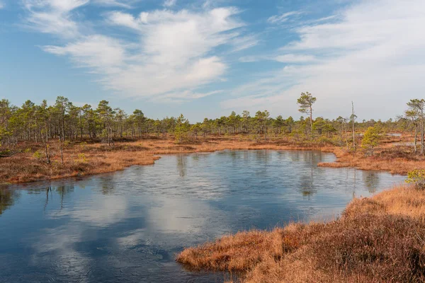 Vackert Landskap Med Sjö Och Spegling Träd Vatten — Stockfoto