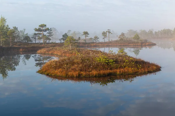 Bataklık gölünde sabah