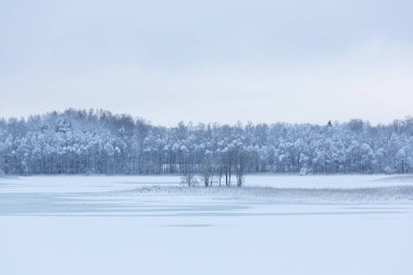 Ocak 2021 'de kış manzarası