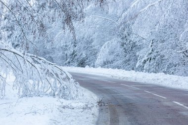 Yolda karlı bir kış günü