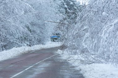 Yolda karlı bir kış günü