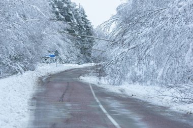 Yolda karlı bir kış günü