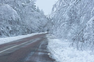 Yolda karlı bir kış günü