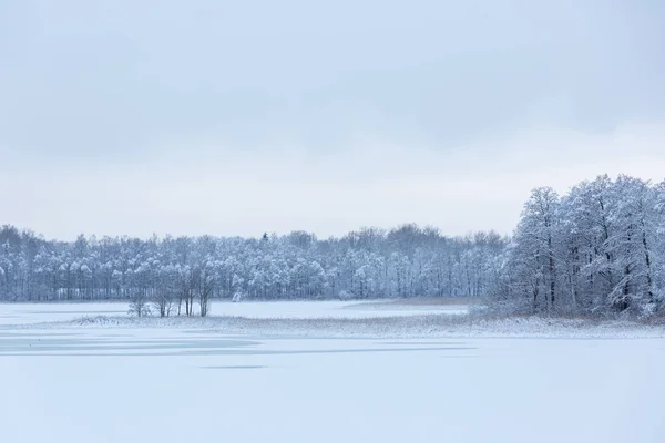 Χειμερινό Τοπίο Τον Ιανουάριο 2021 — Φωτογραφία Αρχείου