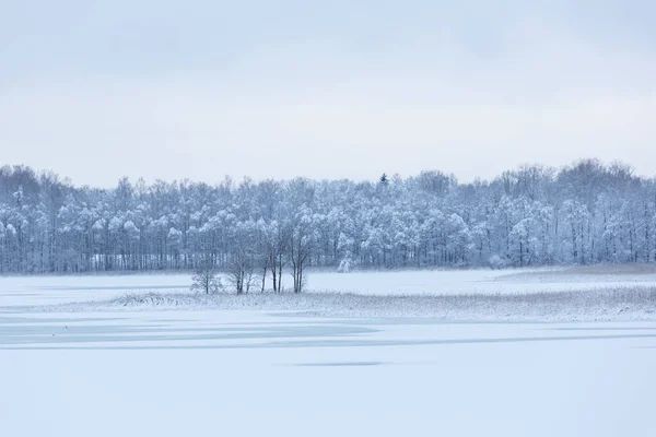 Χειμερινό Τοπίο Τον Ιανουάριο 2021 — Φωτογραφία Αρχείου