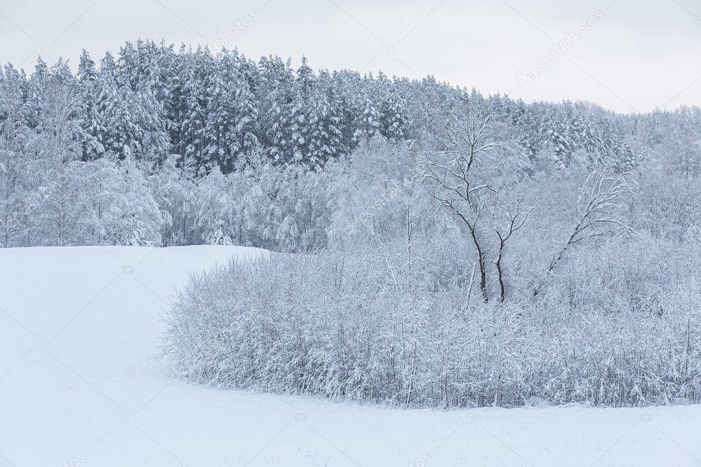 winter lanscape in january 2021