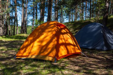 Yazın çadırlarla nehirde kano yapmak.