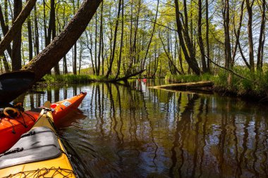 Yazın çadırlarla nehirde kano yapmak.