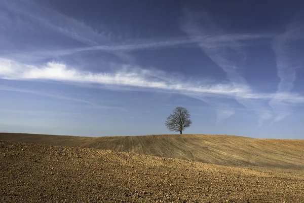 Fields — Stock Photo, Image