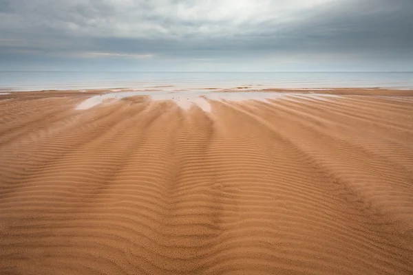 Sandy seaside — Stockfoto