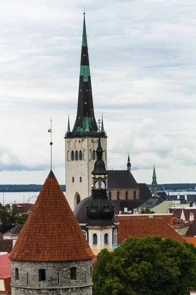 Tallin gamla staden — Stockfoto