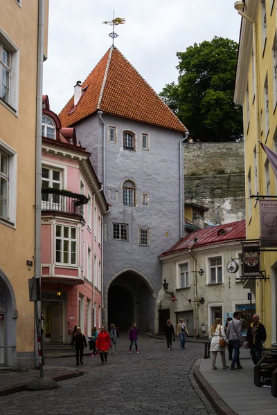 Tallin old city — Stock Photo, Image