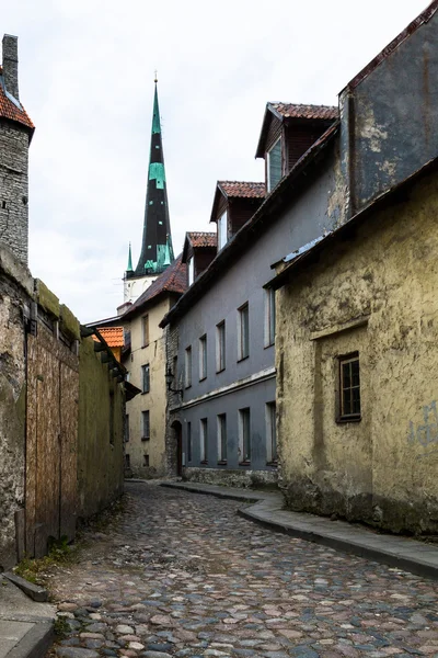 Tallin old city — Stock Photo, Image