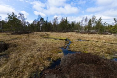 Bahar zaman Gölü bataklık