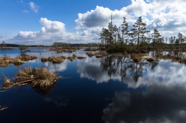 Bahar zaman Gölü bataklık