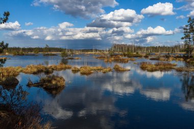 Bahar gölde bataklık