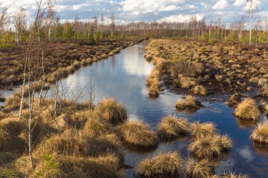 Bahar gölde bataklık
