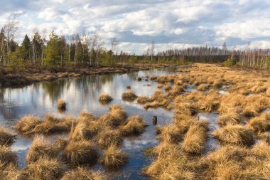Bahar gölde bataklık