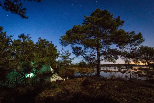 Tente Dans Forêt Sauvage Moment Soir — Photo