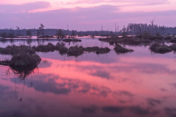 Bahar zaman Gölü bataklık
