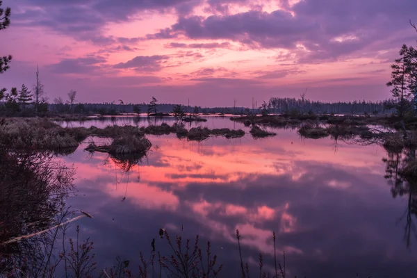 Болотное озеро в весеннее время — стоковое фото