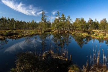 Bahar zaman Gölü bataklık