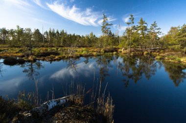 Bahar zaman Gölü bataklık