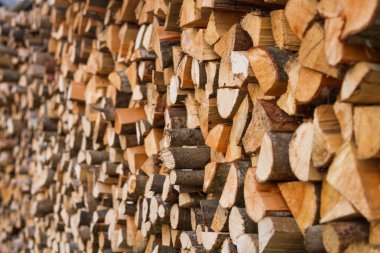 Ağaç kütükleri yığını.