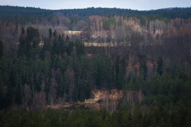 Güzel orman havadan görünümü 