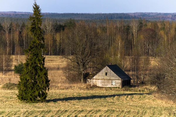Schöne Landschaft Mit Wiese Und Wald — Stockfoto