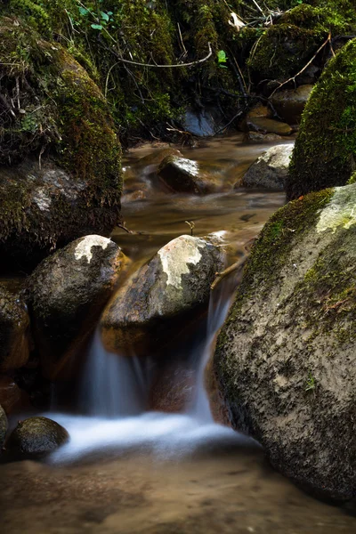 Schöner Wasserfall Wildem Wald — Stockfoto