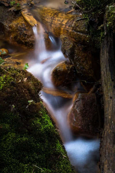Bela Cachoeira Floresta Selvagem — Fotografia de Stock