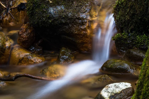 Bella Cascata Nella Foresta Selvaggia — Foto Stock