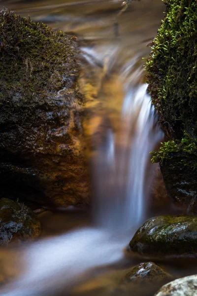 Bella Cascata Nella Foresta Selvaggia — Foto Stock