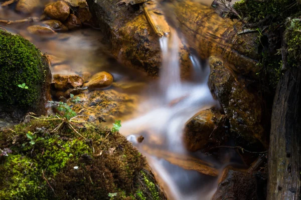 Beautiful Waterfall Wild Forest — Stock Photo, Image