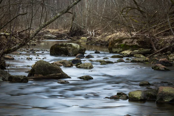 Річка Камінням Лісі — стокове фото