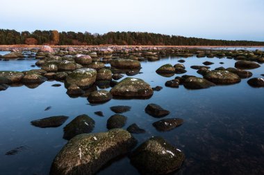 Güneşli bir günde deniz kıyısı