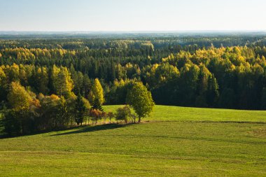 Güzel manzaranın havadan görünüşü
